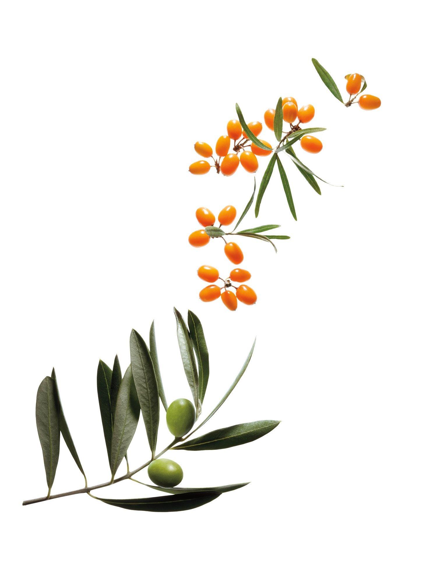 Product image 5 of 5, which shows bareMinerals Mineralist Hydra-Smoothing Lipstick, Optimism