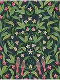 Cole & Son Jasmine & Serin Symphony Wallpaper