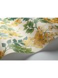 Cole & Son Bougainvillea Wallpaper, 117/6018