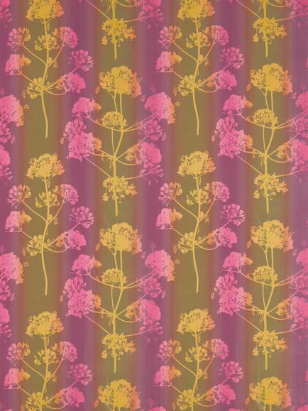 Harlequin Angeliki Clarissa Furnishing Fabric, Sunset