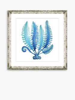 Brookpace Lascelles 'Blue Seaweed 3' Framed Print & Mount, 46 x 46cm, Blue, Blue