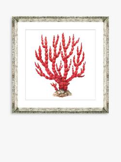 Brookpace Lascelles 'Red Coral 8' Framed Print & Mount, 46 x 46cm, Red, Red