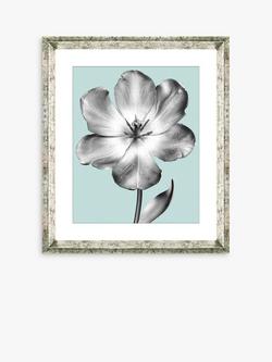 Brookpace Lascelles 'Tulip on Blue 1' Framed Print & Mount, 46 x 36cm, Blue, Blue