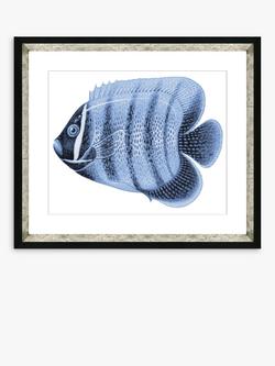 Brookpace Lascelles 'Blue Fish 3' Framed Print & Mount, 36 x 46cm, Blue, Blue