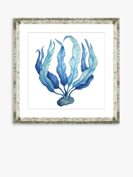 Brookpace Lascelles 'Blue Seaweed 1' Framed Print & Mount, 46 x 46cm, Blue, Blue