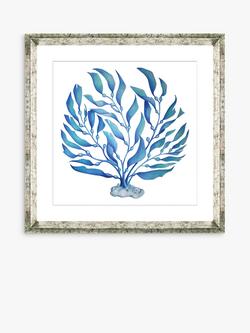 Brookpace Lascelles 'Blue Seaweed 2' Framed Print & Mount, 46 x 46cm, Blue, Blue