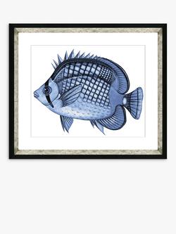 Brookpace Lascelles 'Blue Fish 2' Framed Print & Mount, 36 x 46cm, Blue, Blue