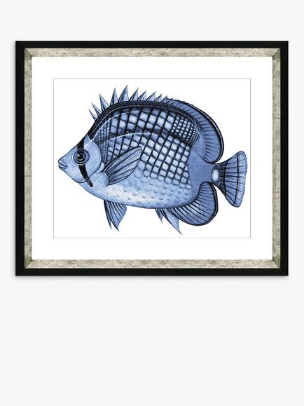 Brookpace Lascelles 'Blue Fish 2' Framed Print & Mount, 36 x 46cm, Blue, Blue