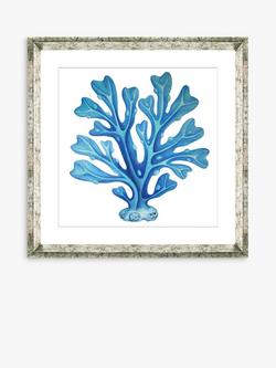 Brookpace Lascelles 'Blue Seaweed 6' Framed Print & Mount, 46 x 46cm, Blue, Blue