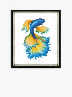 Brookpace Lascelles Fancy Fish 1' Framed Print & Mount, 56 x 46cm, Orange/Blue, Orange/Blue