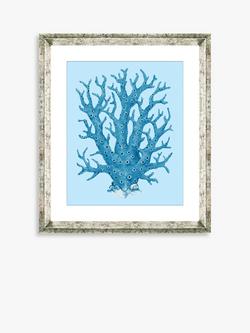 Brookpace Lascelles 'Blue Coral 8' Framed Print & Mount, 46 x 36cm, Blue, Blue