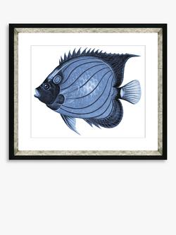 Brookpace Lascelles 'Blue Fish 1' Framed Print & Mount, 36 x 46cm, Blue, Blue