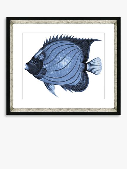 Brookpace Lascelles 'Blue Fish 1' Framed Print & Mount, 36 x 46cm, Blue, Blue
