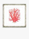 Brookpace Lascelles 'Red Coral 9' Framed Print & Mount, 46 x 46cm, Red