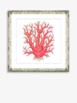 Brookpace Lascelles 'Red Coral 9' Framed Print & Mount, 46 x 46cm, Red, Red