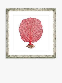 Brookpace Lascelles 'Red Coral 3' Framed Print & Mount, 46 x 46cm, Red, Red