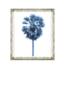 Brookpace Lascelles 'Blue Palm Tree 3' Framed Print & Mount, 66 x 56cm, Blue, Blue