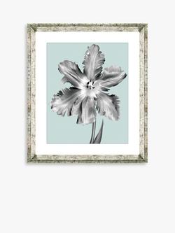 Brookpace Lascelles 'Tulip on Blue 5' Framed Print & Mount, 46 x 36cm, Blue, Blue