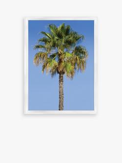 Brookpace Lascelles 'Blue Sky Palm 2' Framed Print & Mount, 66 x 46cm, Blue/Green, Blue/Green
