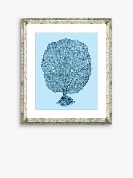 Brookpace Lascelles 'Blue Coral 1' Framed Print & Mount, 46 x 36cm, Blue, Blue