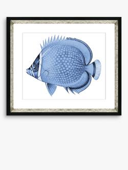 Brookpace Lascelles 'Blue Fish 4' Framed Print & Mount, 36 x 46cm, Blue, Blue