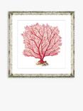 Brookpace Lascelles 'Red Coral 7' Framed Print & Mount, 46 x 46cm, Red