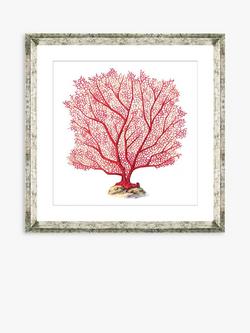Brookpace Lascelles 'Red Coral 7' Framed Print & Mount, 46 x 46cm, Red, Red
