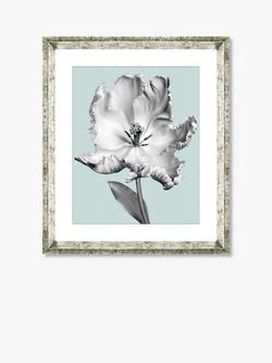 Brookpace Lascelles 'Tulip on Blue 4' Framed Print & Mount, 46 x 36cm, Blue, Blue