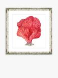 Brookpace Lascelles 'Red Coral I' Framed Print & Mount, 46 x 46cm, Red