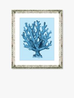 Brookpace Lascelles 'Blue Coral 4' Framed Print & Mount, 46 x 36cm, Blue, Blue