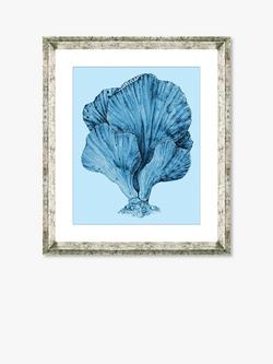 Brookpace Lascelles 'Blue Coral 3' Framed Print & Mount, 46 x 36cm, Blue, Blue