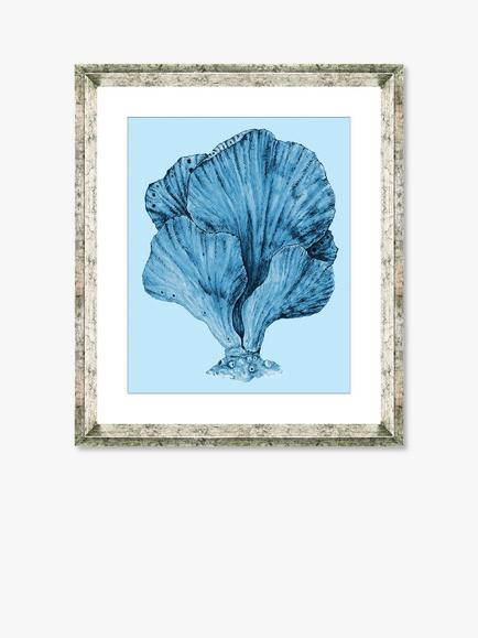 Brookpace Lascelles 'Blue Coral 3' Framed Print & Mount, 46 x 36cm, Blue, Blue