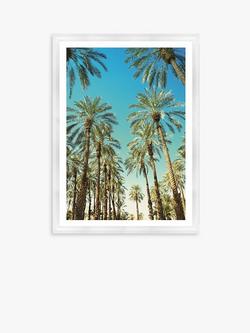 Brookpace Lascelles 'Beverly Hills Palms' Framed Print & Mount, 76 x 56cm, Green/Blue, Green/Blue
