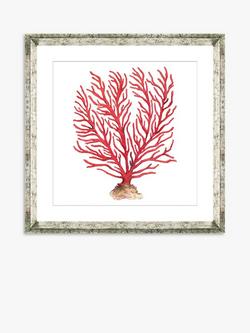 Brookpace Lascelles 'Red Coral 5' Framed Print & Mount, 46 x 46cm, Red, Red