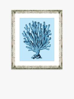 Brookpace Lascelles 'Blue Coral 2' Framed Print & Mount, 46 x 36cm, Blue, Blue