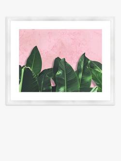 Brookpace Lascelles 'Banana Leaves' Framed Print & Mount, 46 x 56cm, Pink/Green, Pink/Green