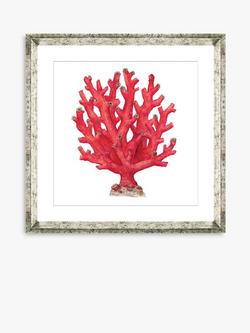 Brookpace Lascelles 'Red Coral 4' Framed Print & Mount, 46 x 46cm, Red, Red