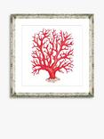 Brookpace Lascelles 'Red Coral 2' Framed Print & Mount, 46 x 46cm, Red