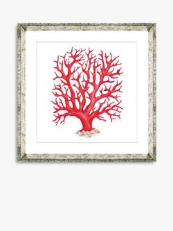 Brookpace Lascelles 'Red Coral 2' Framed Print & Mount, 46 x 46cm, Red, Red