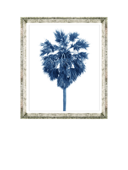 Brookpace Lascelles 'Blue Palm Tree 1' Framed Print & Mount, 66 x 56cm, Blue, Blue