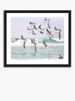 Brookpace Lascelles 'Gannets 2' Framed Print & Mount, 56 x 66cm, Blue, Blue