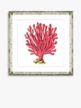 Brookpace Lascelles 'Red Coral 6' Framed Print & Mount, 46 x 46cm, Red