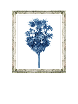 Brookpace Lascelles 'Blue Palm Tree 2' Framed Print & Mount, 66 x 56cm, Blue, Blue