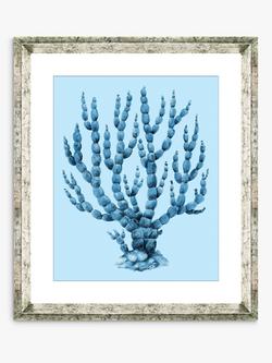 Brookpace Lascelles 'Blue Coral 6' Framed Print & Mount, 46 x 36cm, Blue, Blue