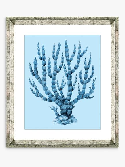 Brookpace Lascelles 'Blue Coral 6' Framed Print & Mount, 46 x 36cm, Blue, Blue