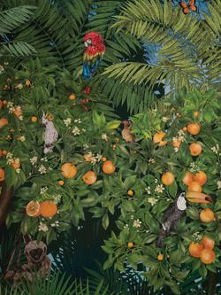 Matthew Williamson Orange Grove Wallpaper Panel Set, W7493-01 - view 2, Natural W7493-01