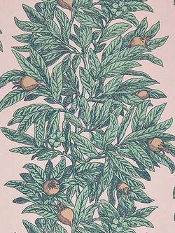 Osborne & Little Medlar Wallpaper, Multi W7458-01