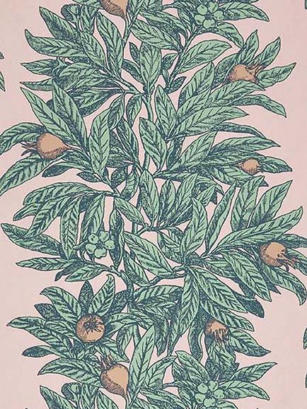 Osborne & Little Medlar Wallpaper, Multi W7458-01