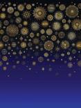 Matthew Williamson Celestia Wallpaper Panel Set, W7495-01
