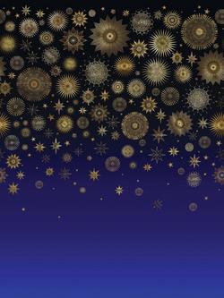 Matthew Williamson Celestia Wallpaper Panel Set, W7495-01, Blue W7495-01